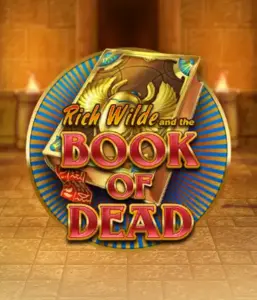 Enter the thrilling world of Book of Dead Slot by Play'n GO, presenting vivid graphics of Rich Wilde’s adventurous journey through ancient Egyptian tombs and artifacts. Find lost riches with captivating mechanics like free spins, expanding icons, and a gamble option. Ideal for those seeking adventure with a desire for unearthing secrets.